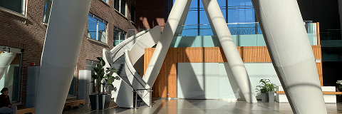 The Board of Directors Banner image